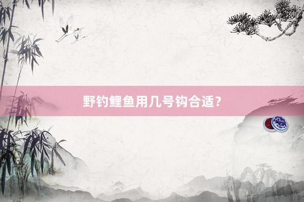 野钓鲤鱼用几号钩合适？